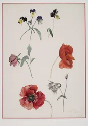 Blumen